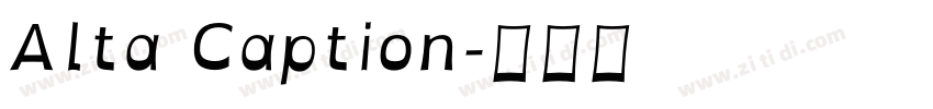 Alta Caption字体转换